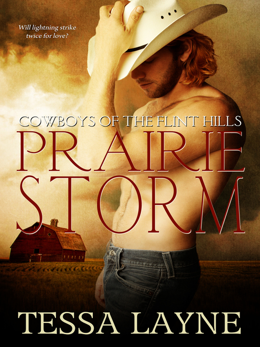 Title details for Prairie Storm by Tessa Layne - Available